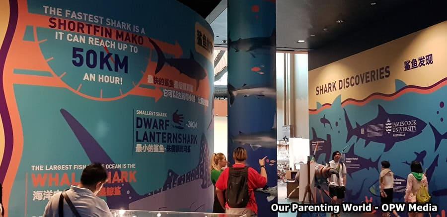 Pastikan Hoki Terjamin dengan Tips Rahasia yang Berhasil