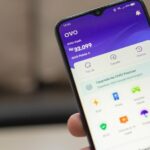 Akun Habanero Ovo: Cara Mudah Top Up Saldo dan Transaksi Online